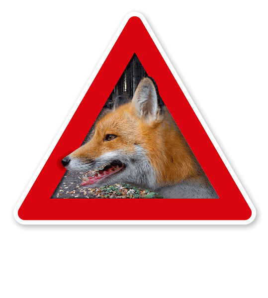 Verkehrsschild Achtung, Fuchs - Fuchsbandwurm, Wildtollwut