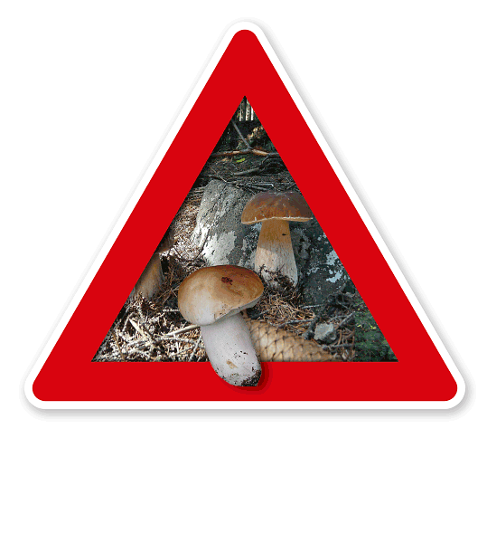 Verkehrsschild Achtung, Pilze (sammeln verboten) – Naturschutz