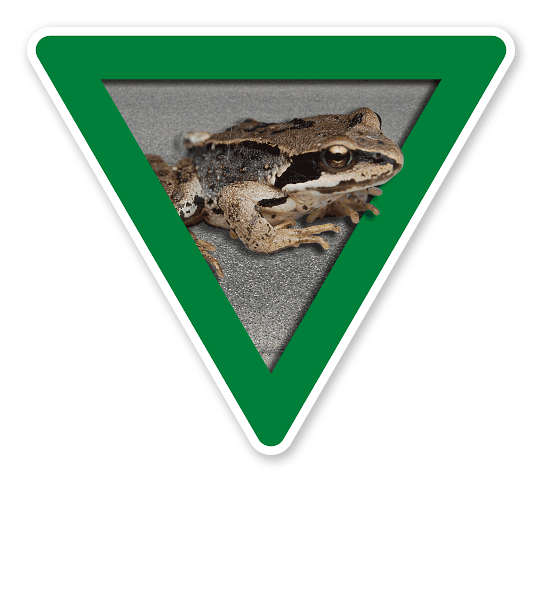 Verkehrsschild Vorsicht, Amphibienwanderung – Tierschutz (grün)