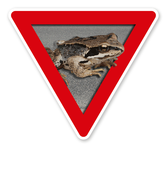 Verkehrsschild Vorsicht, Amphibienwanderung – Tierschutz (rot)