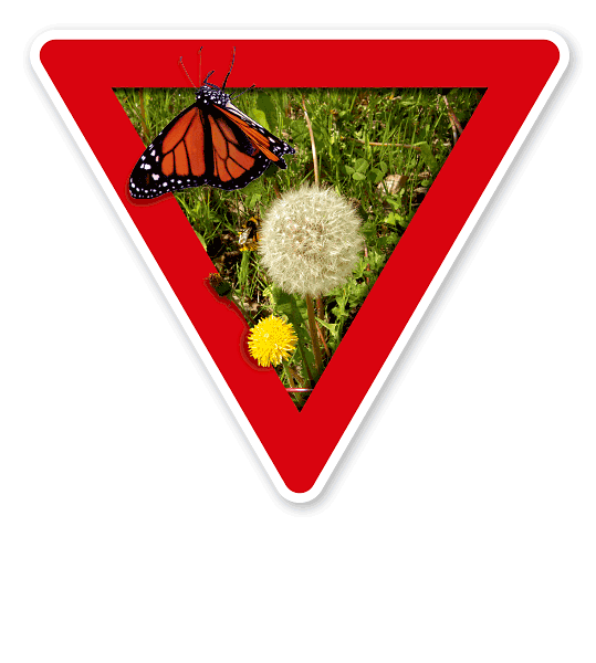 Verkehrsschild Vorsicht, Ausgleichsfläche – Naturschutz (rot)