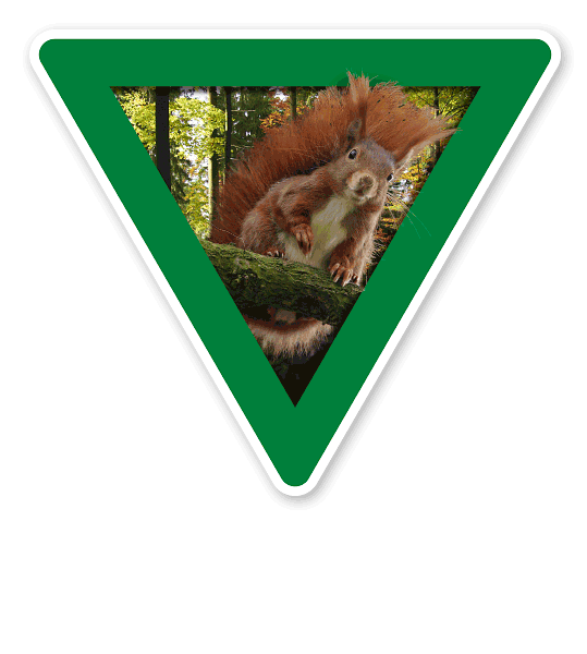 Verkehrsschild Vorsicht, Eichhörnchen – Tierschutz (grün)