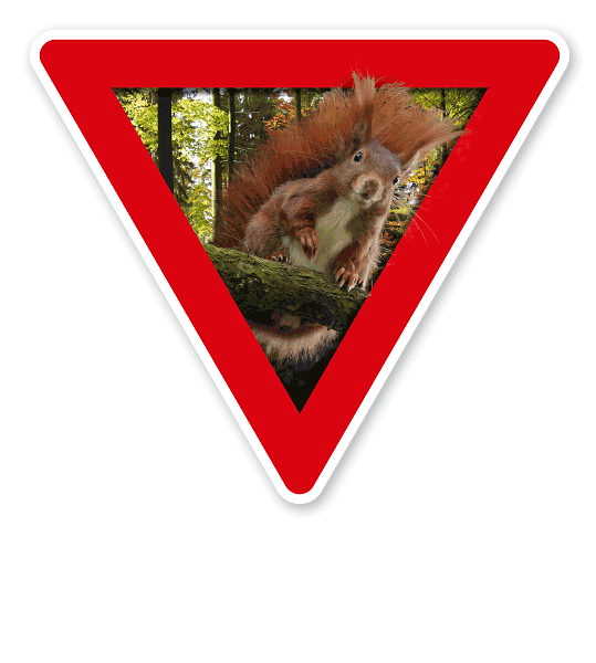 Verkehrsschild Vorsicht, Eichhörnchen – Tierschutz (rot)
