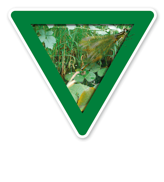 Verkehrsschild Vorsicht, Feuchtbiotop – Naturschutz (grün)