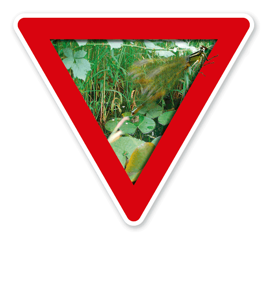 Verkehrsschild Vorsicht, Feuchtbiotop – Naturschutz (rot)