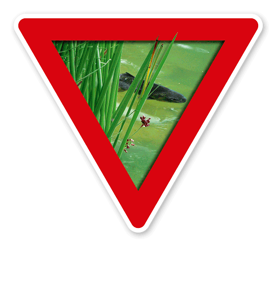 Verkehrsschild Vorsicht, Fischschonbezirk – Tierschutz (rot)