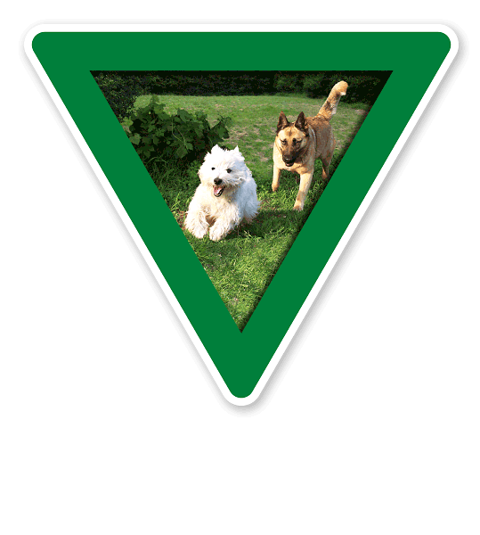 Verkehrsschild Vorsicht, Hundeauslauf - Hundeplatz (grün)