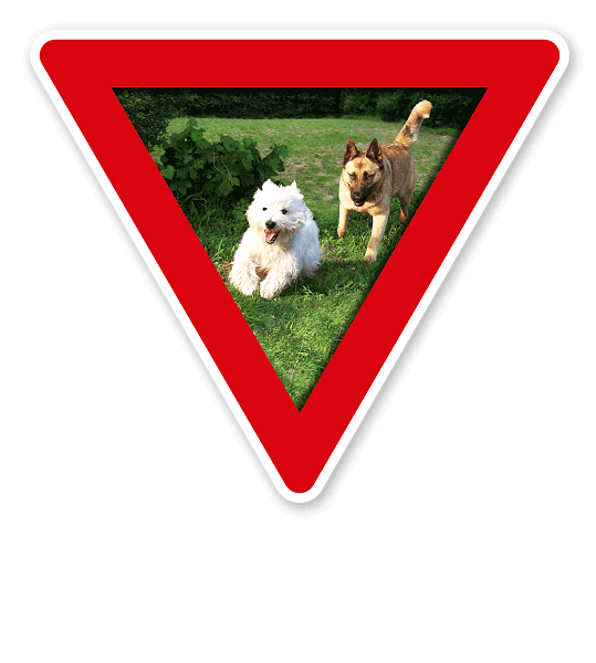 Verkehrsschild Vorsicht, Hundeauslauf - Hundeplatz (rot)