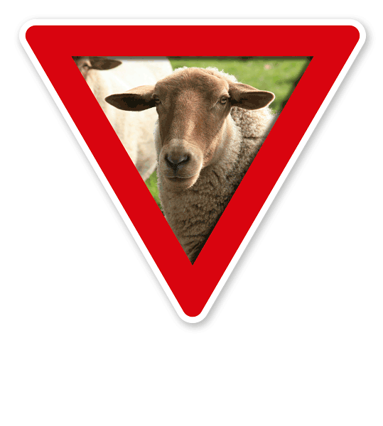 Verkehrsschild Vorsicht, Schafe