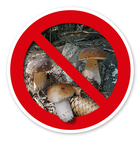 Verkehrsschild Pilze sammeln verboten