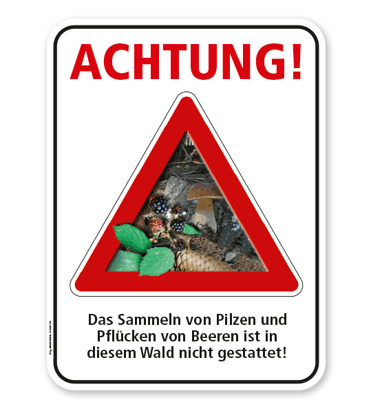 Forstschild Achtung, das Sammeln von Pilzen und Beeren ist in diesem Wald nicht gestattet – G/GW