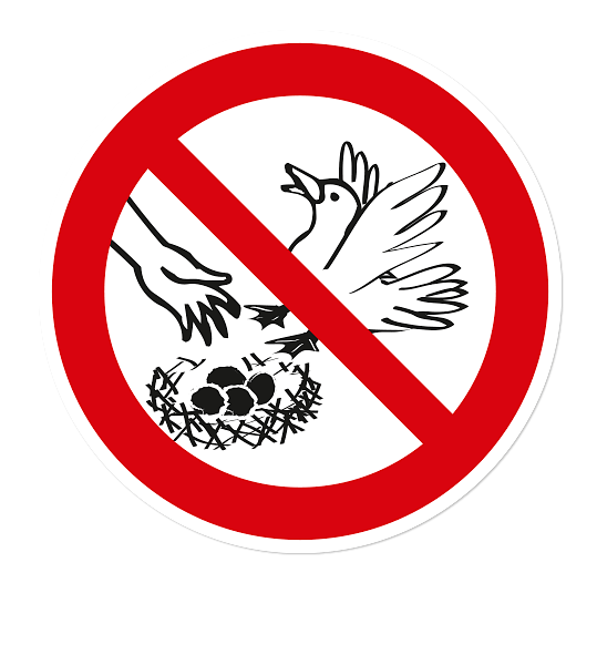 Verbotszeichen Eier aus Nestern entnehmen verboten