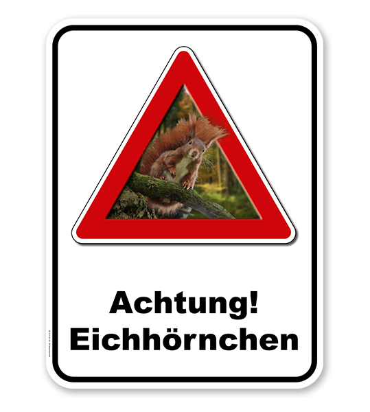 Kombischild Achtung Eichhörnchen - 2