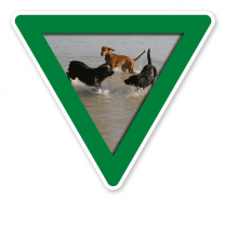 Verkehrsschild Vorsicht, Hundebadestelle - Hundeplatz (grün)