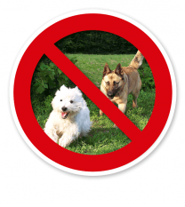 Verkehrsschild Hunde verboten