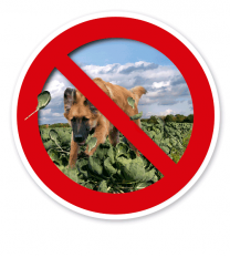 Verkehrsschild Hunde verboten – Nahrungsmittelschutz