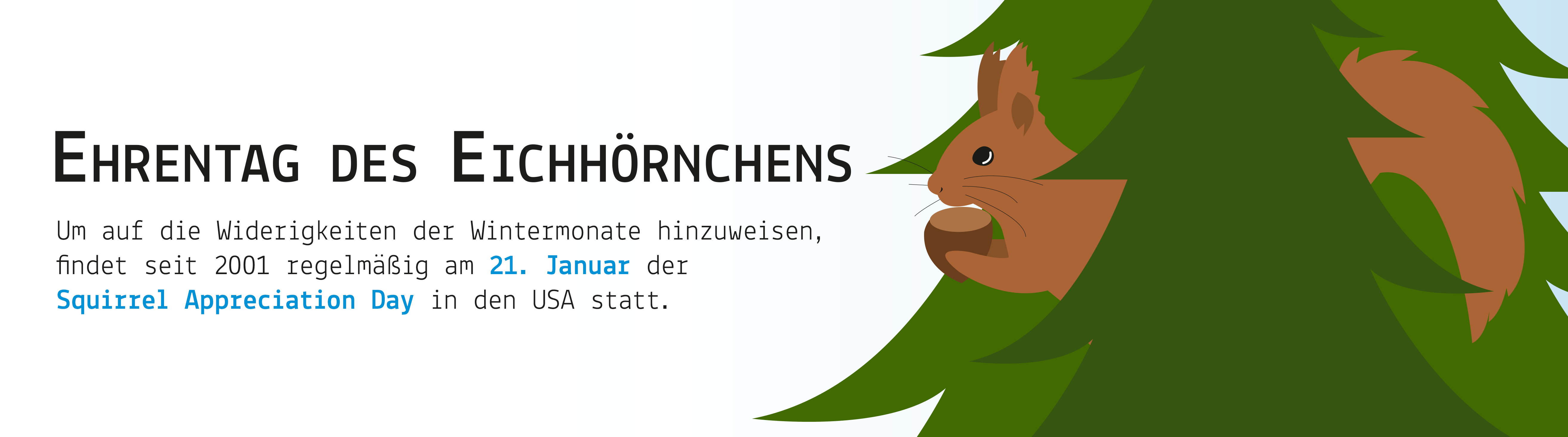 Ein Eichhörnchen in Bäumen